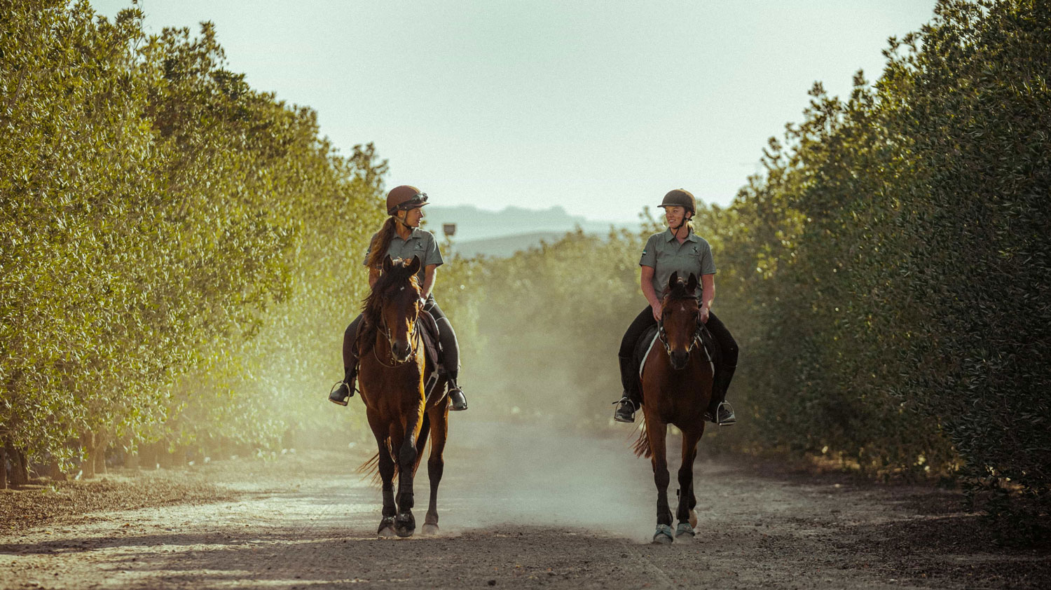 Horseback riding