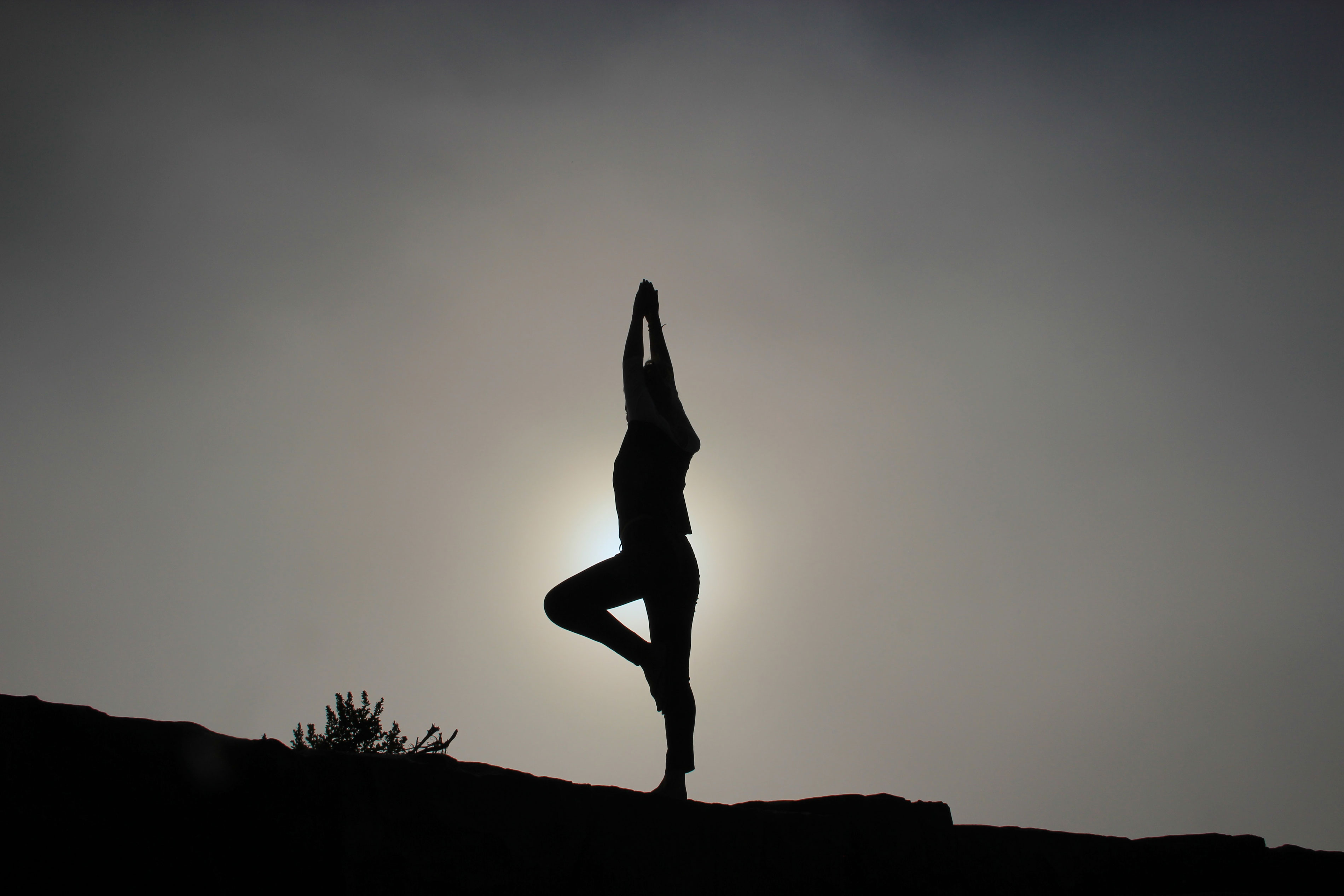 yoga in abudhabi