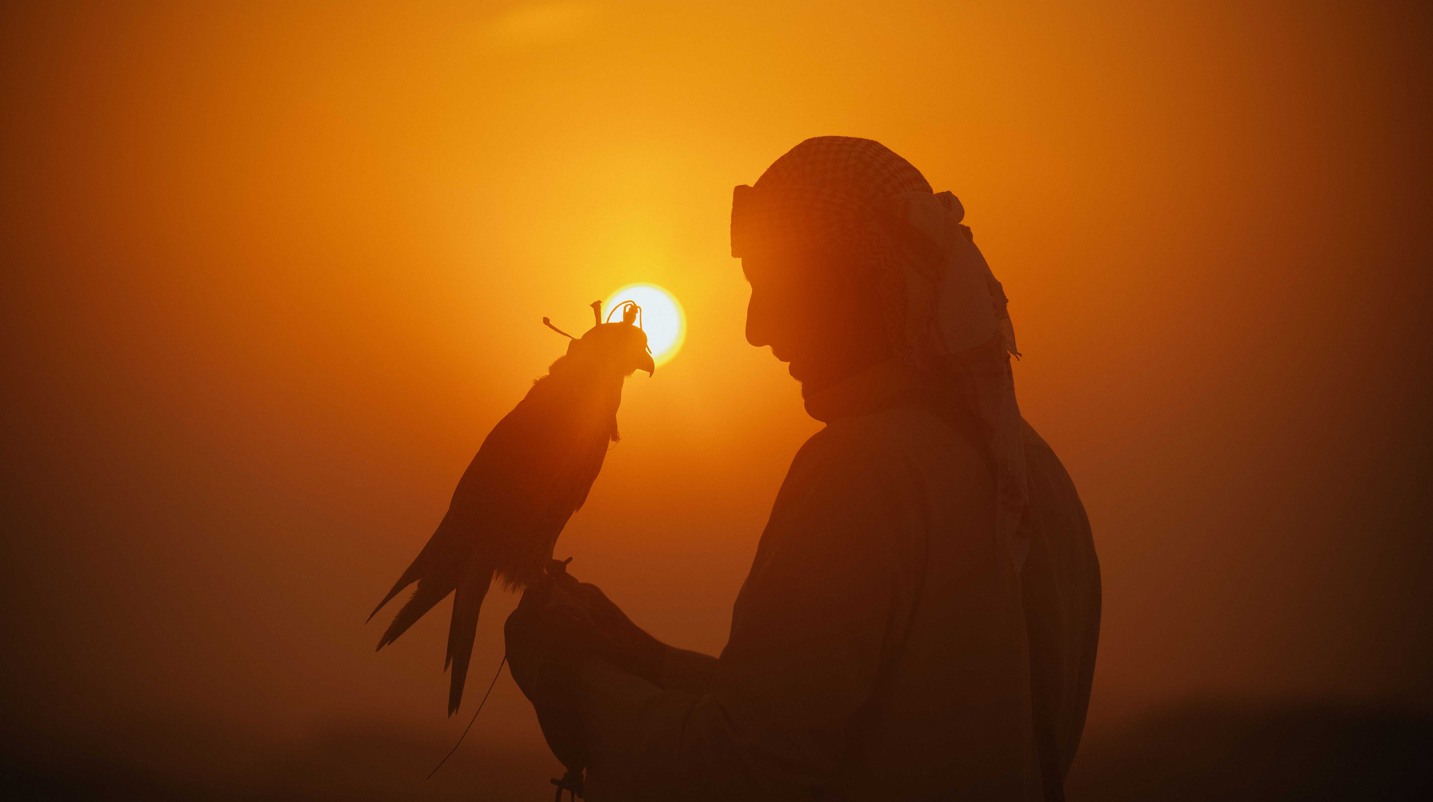 Un uomo in abiti arabi con un falco in mano al tramonto.