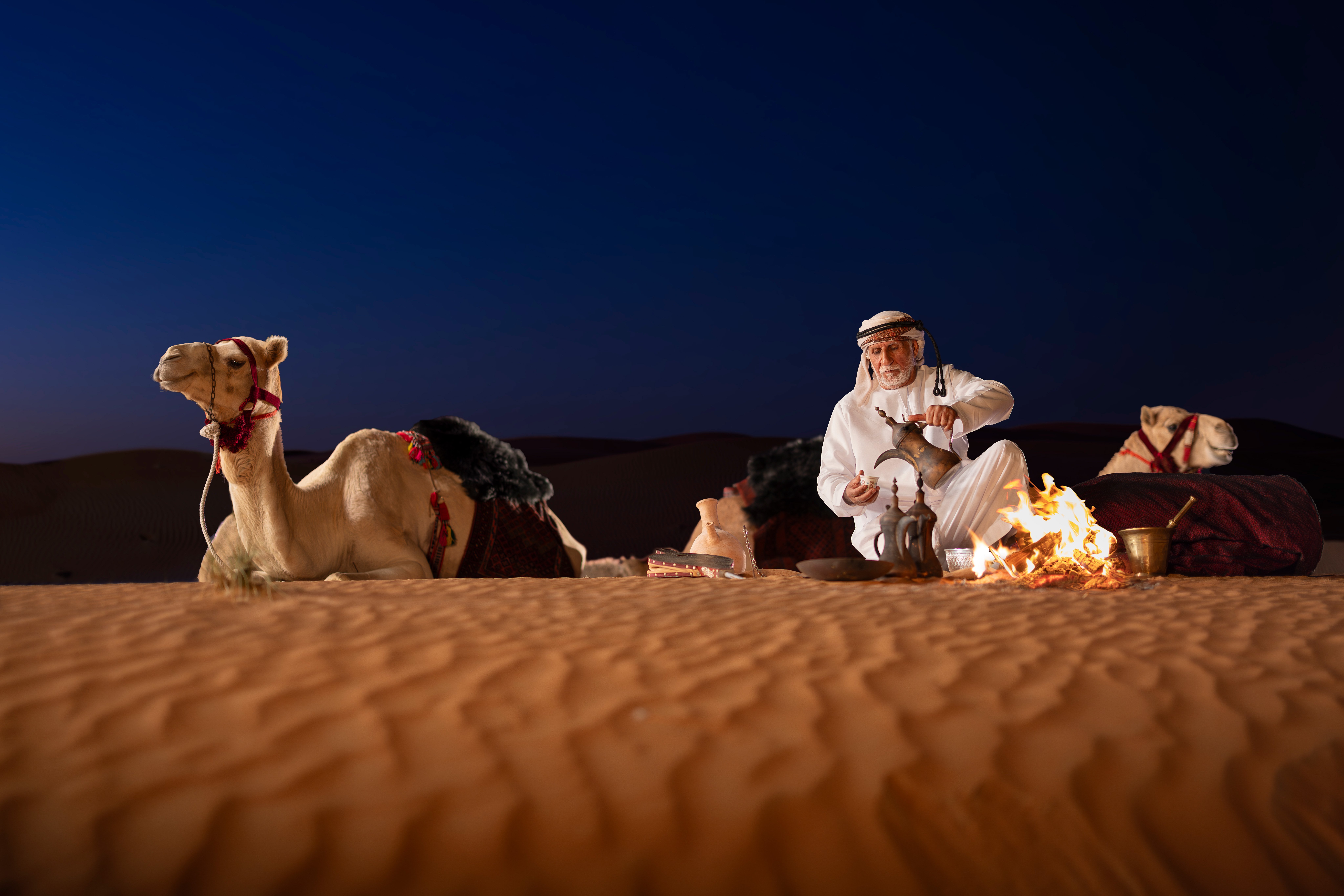 Camel milk chocolates