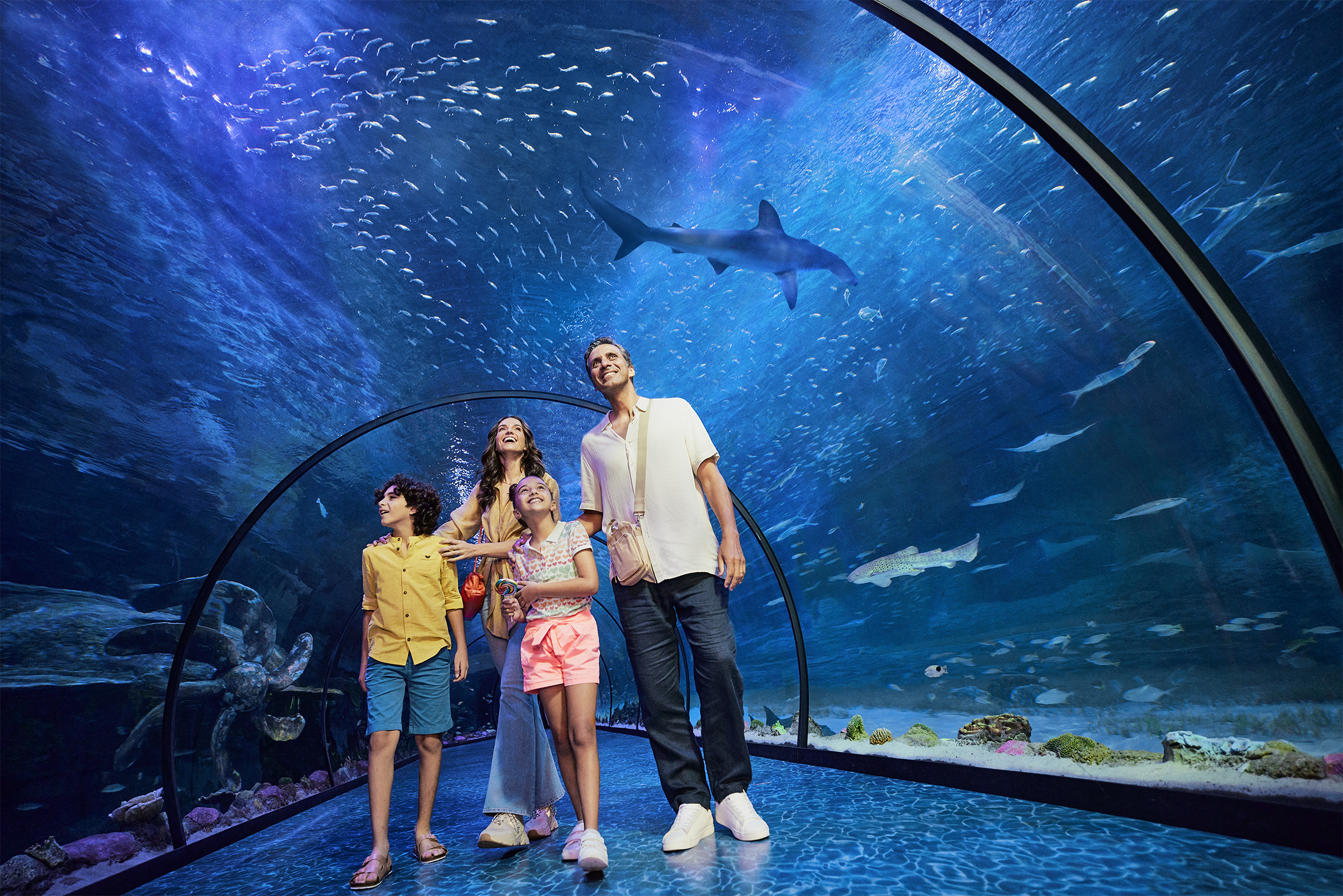Family of four in the underwater tunnel in the National Aquarium