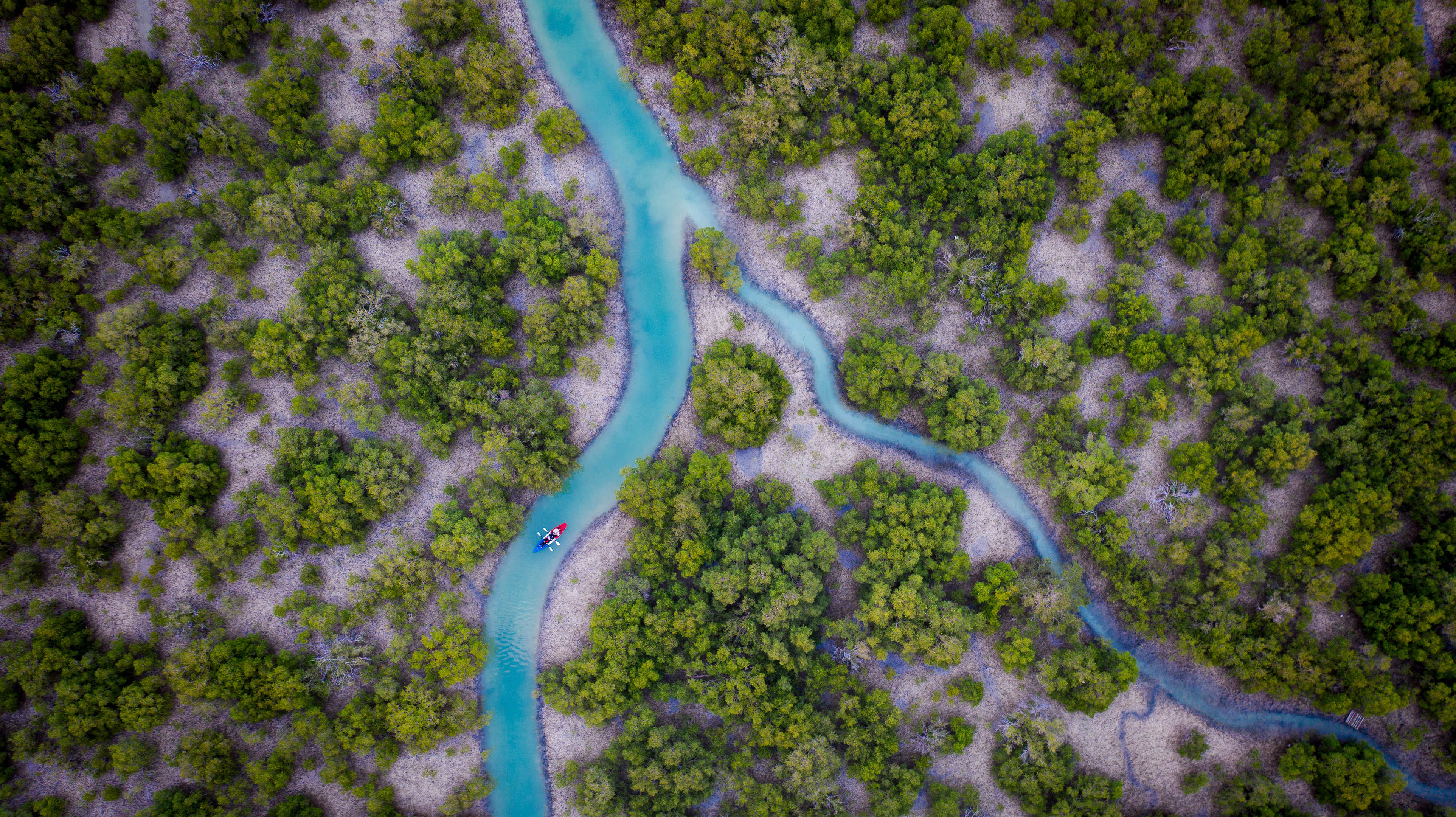 Падлбординг в красивейших мангровых зарослях