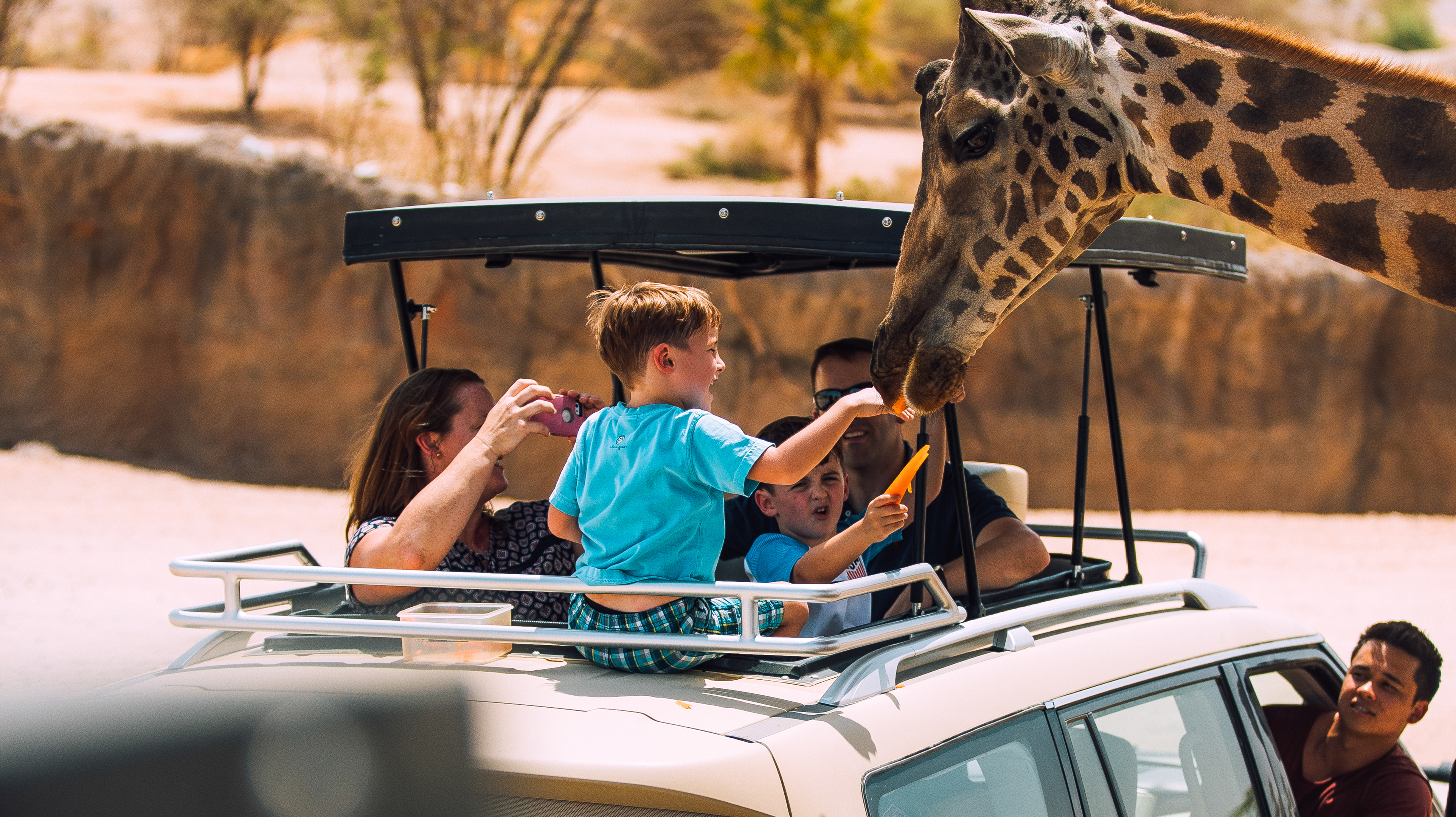 Leisure and Entertainment in Abu Dhabi | Visit Abu Dhabi