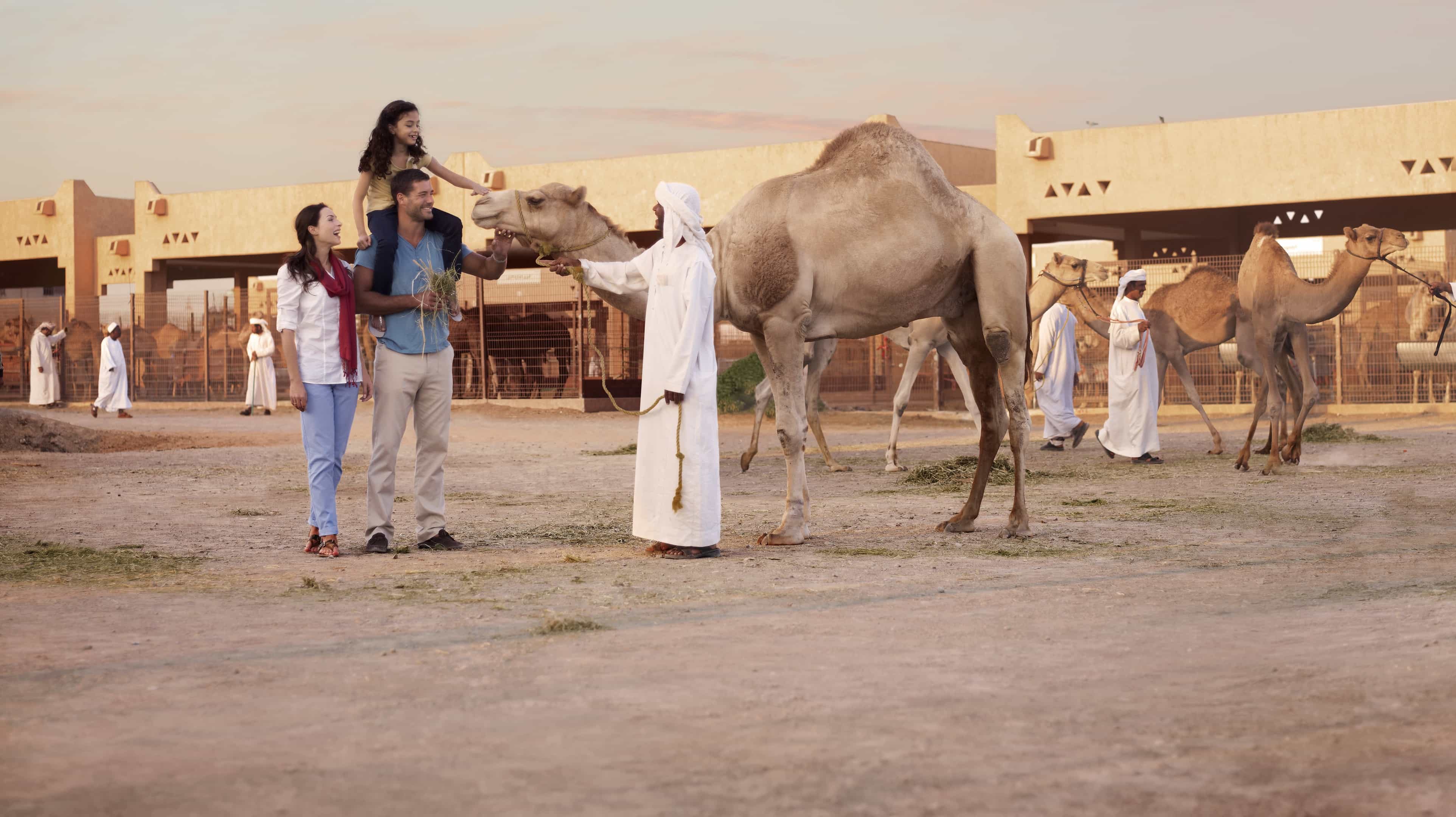 al-ain-camel-market
