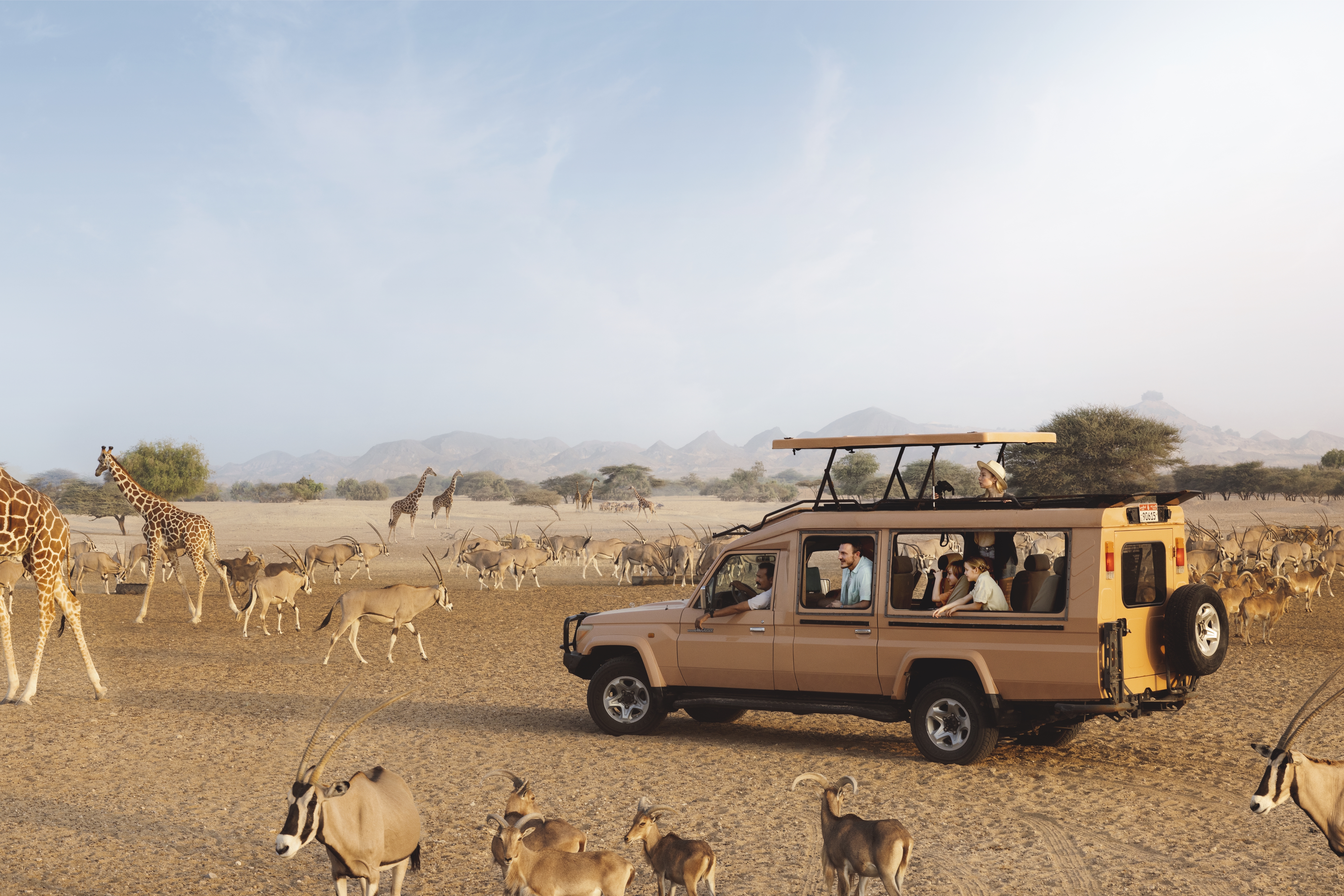 Family in a safari jeep amidst the wildlife on Sir Bani Yas Island