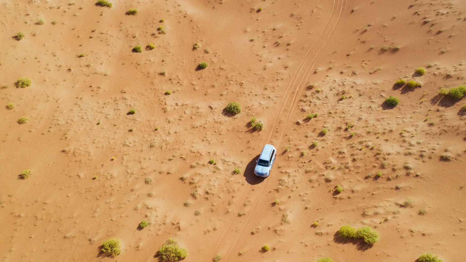 An exhilarating ride across Abu Dhabi's sand dunes