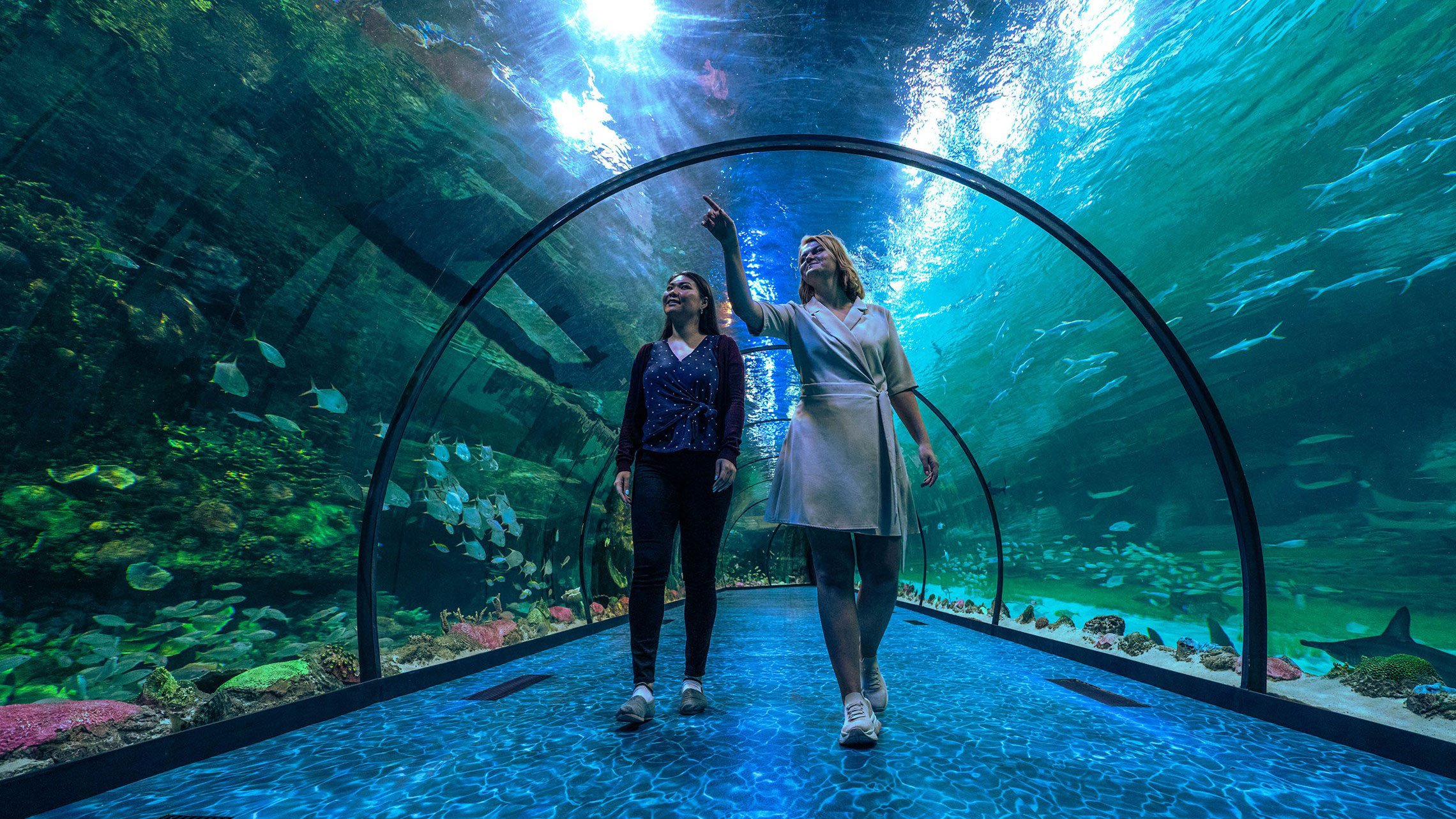 Two women walking through the underwater tunnel at the National Aquarium Abu Dhabi, surrounded by sea life.