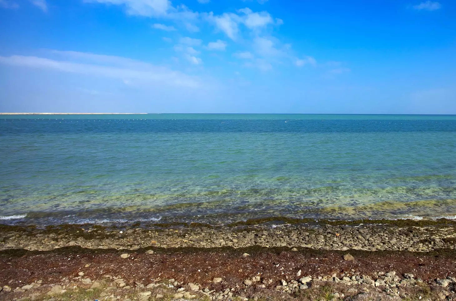 image alt text