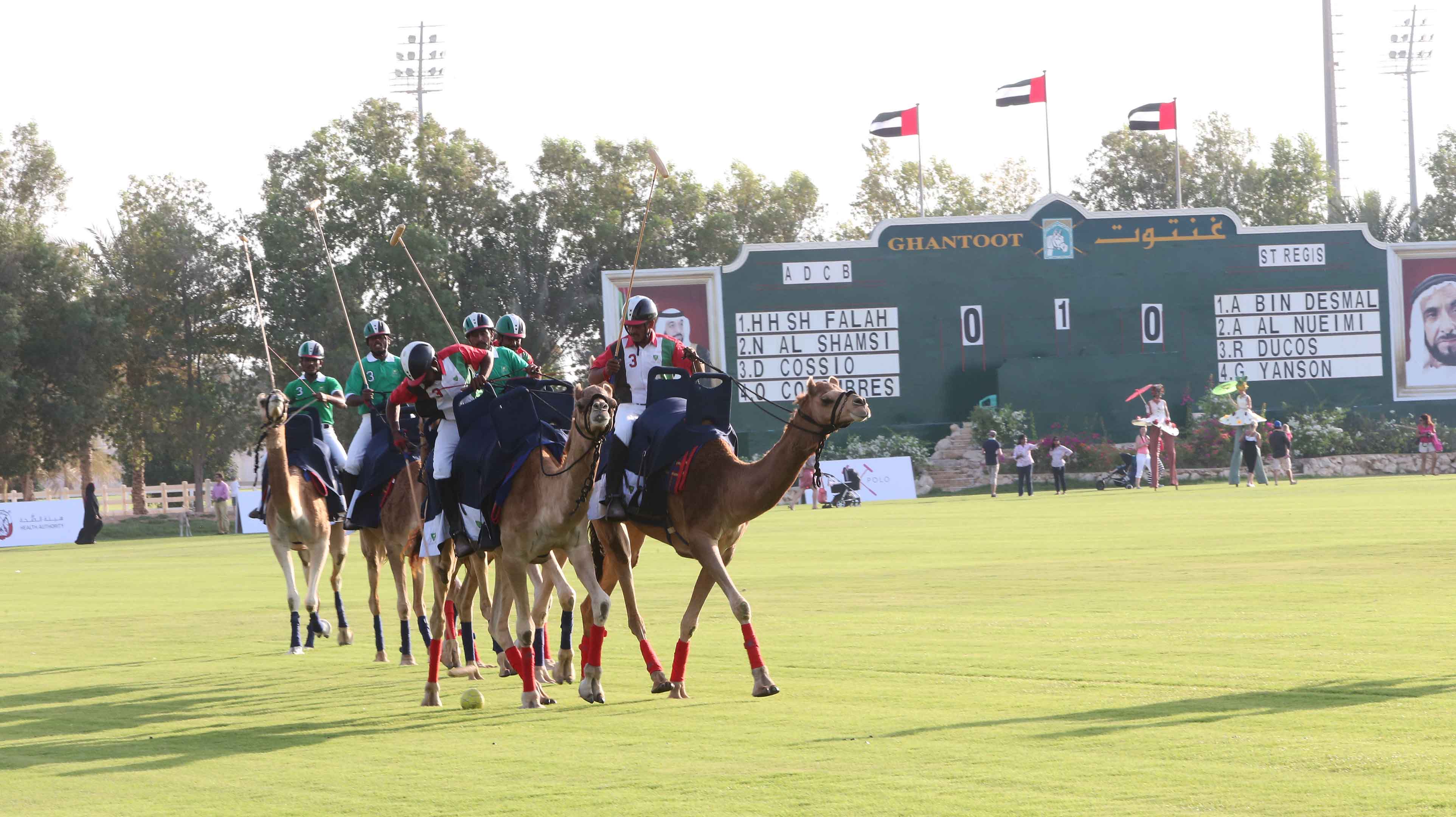 نادي غنتوت لسباق الخيل والبولو