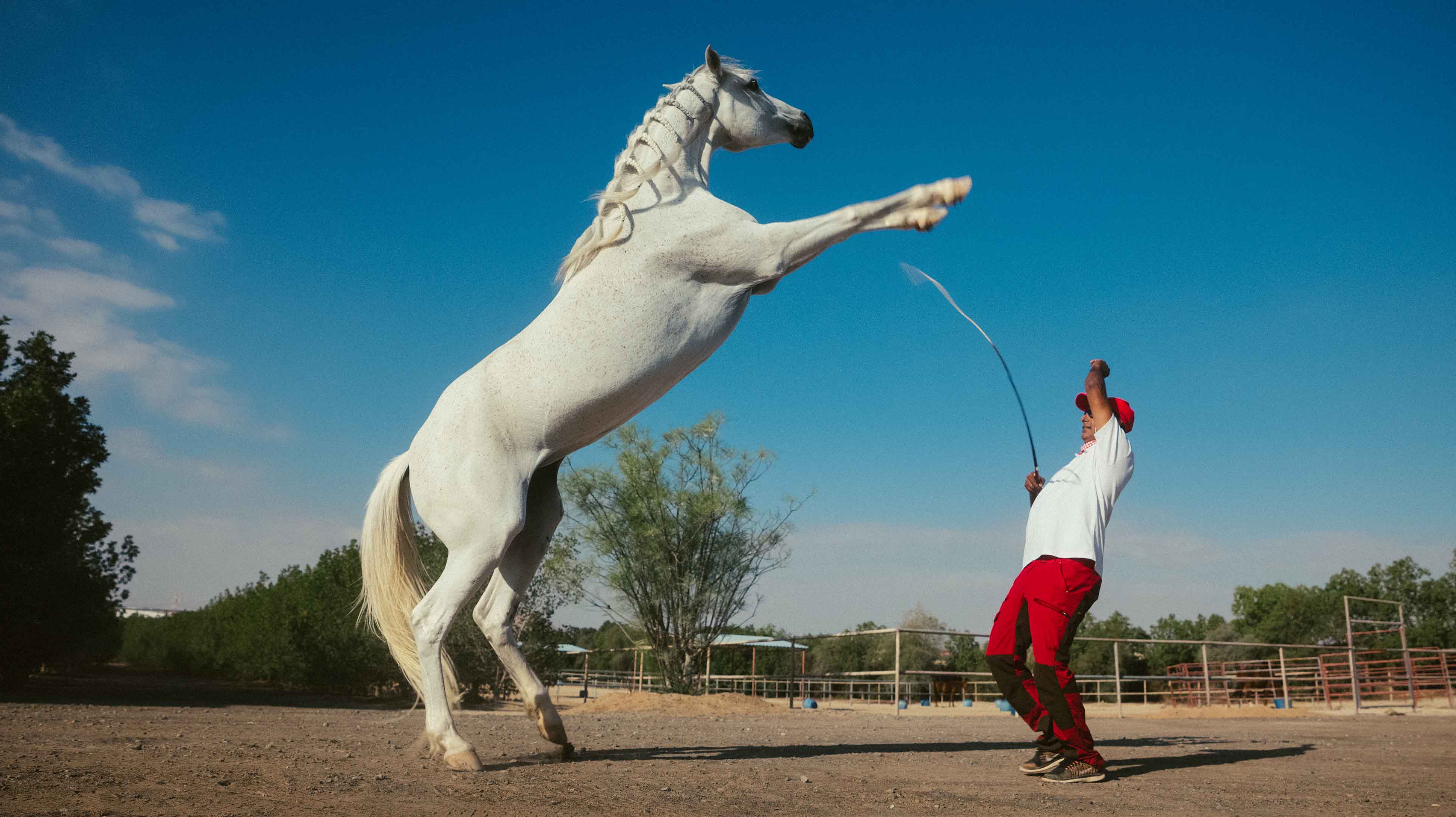 Rahal-Ranch