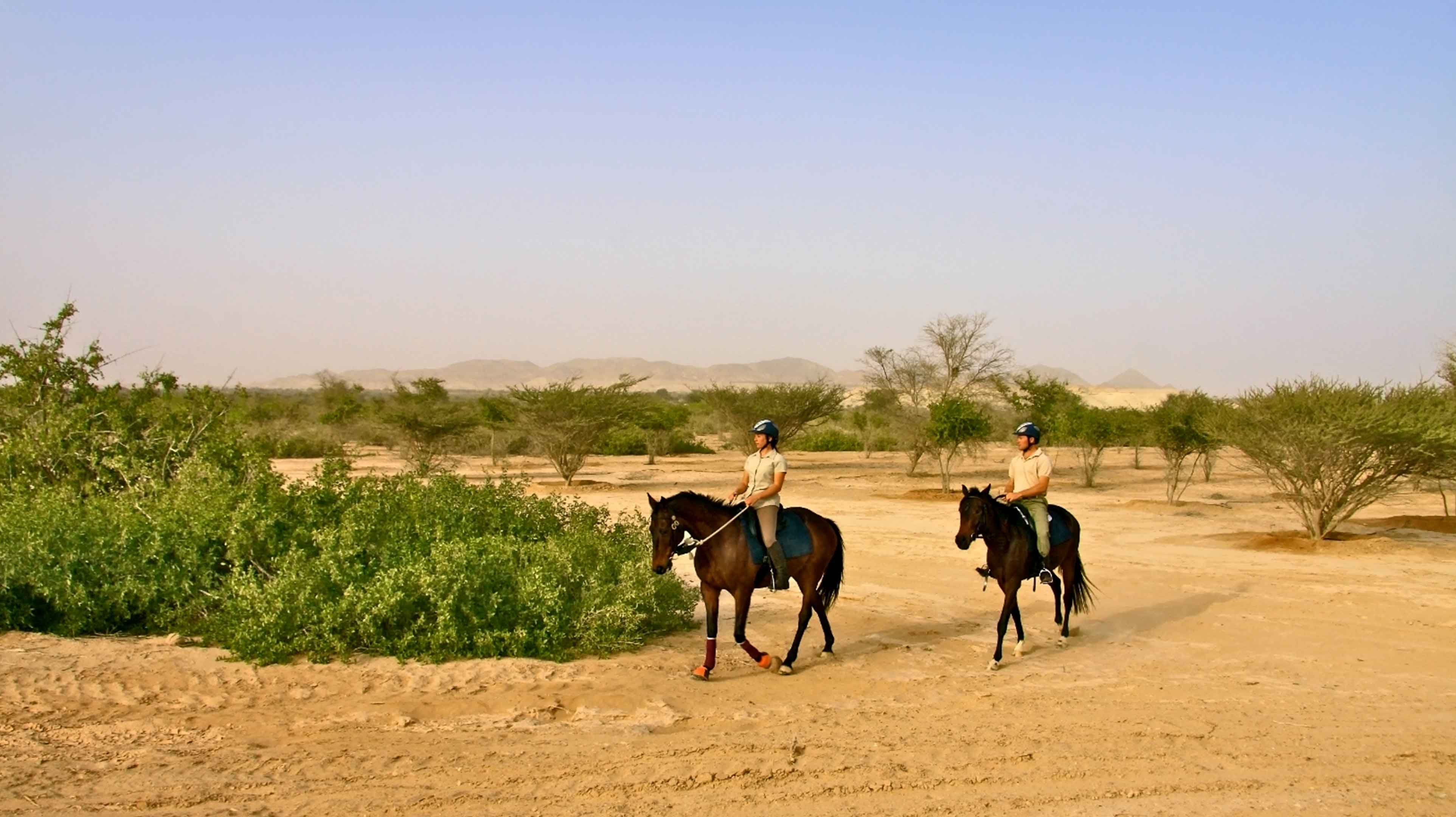 Sir Bani Yas Stables