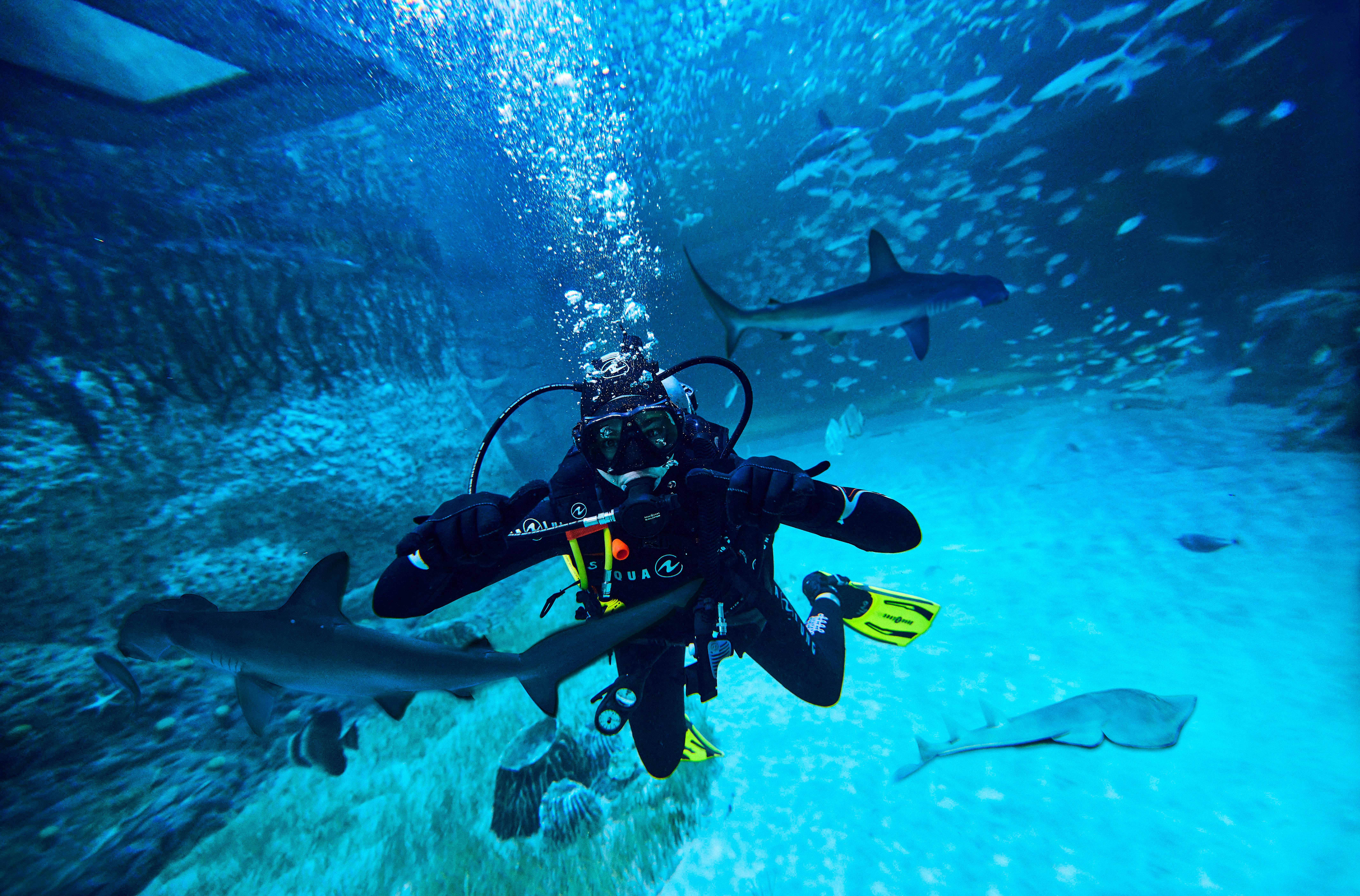 Must-try watersports
