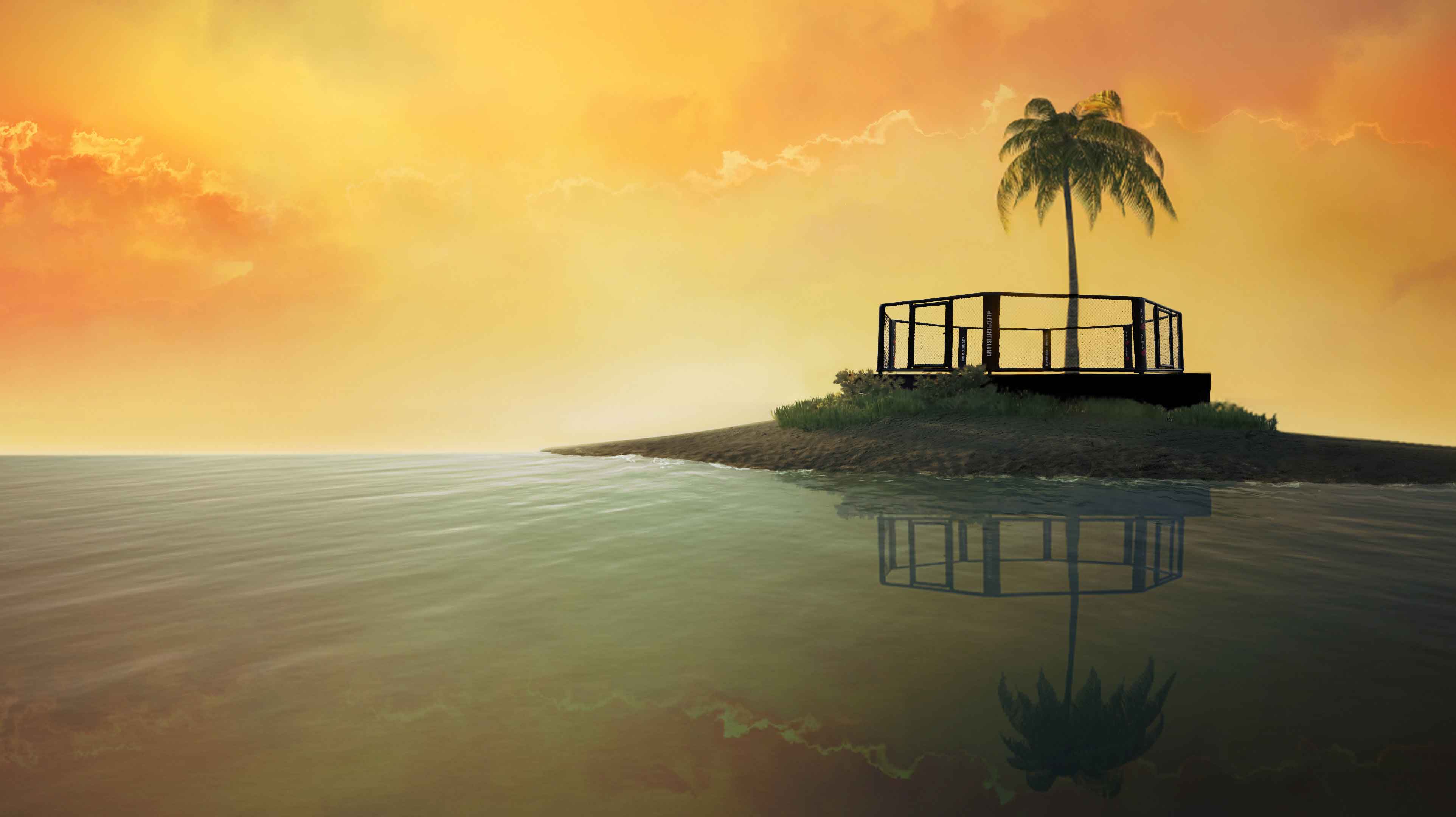 ufc fight island