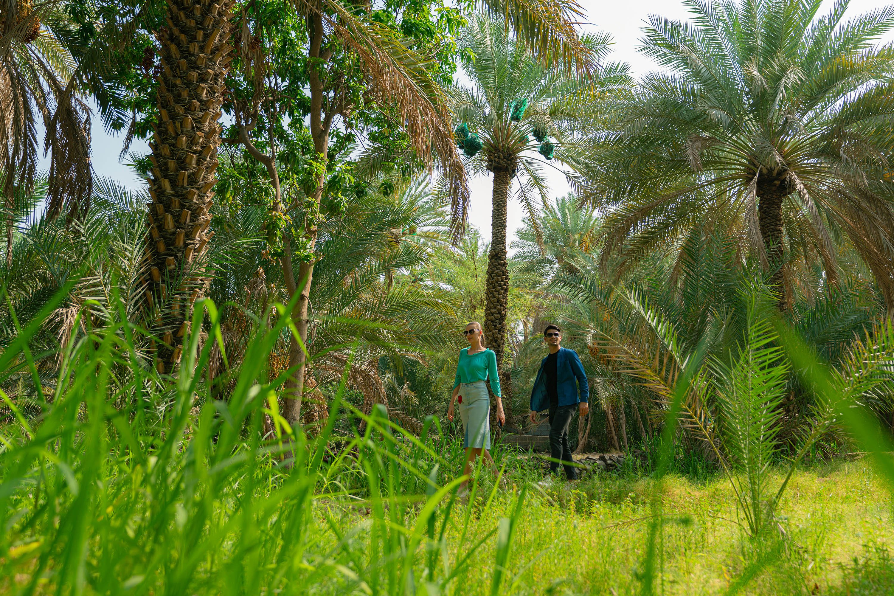 A couple taking a free walking tour in a lush landscape