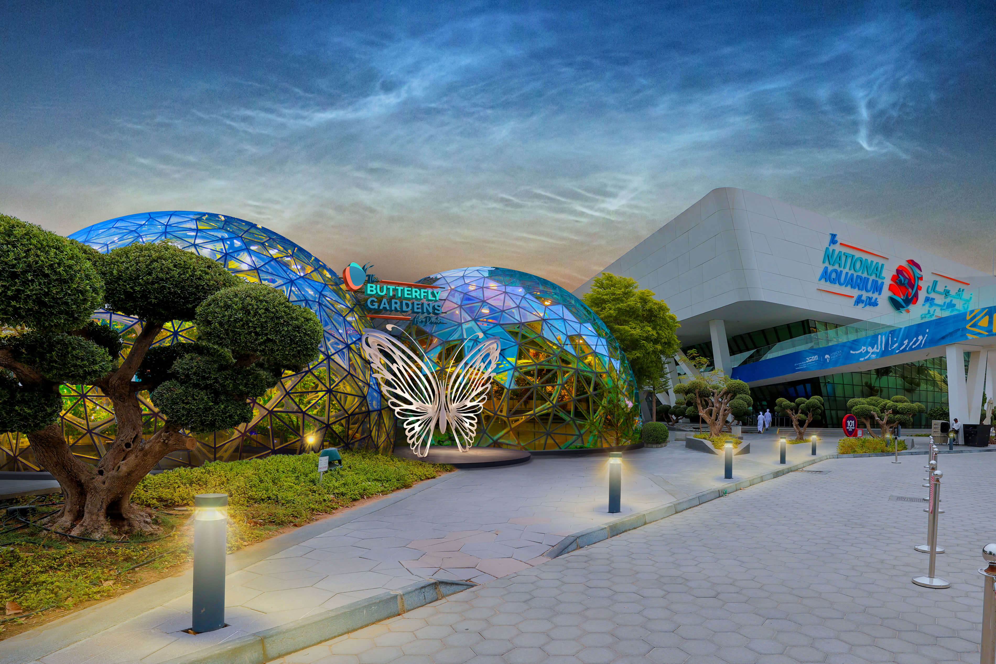 butterfly gardens abu dhabi