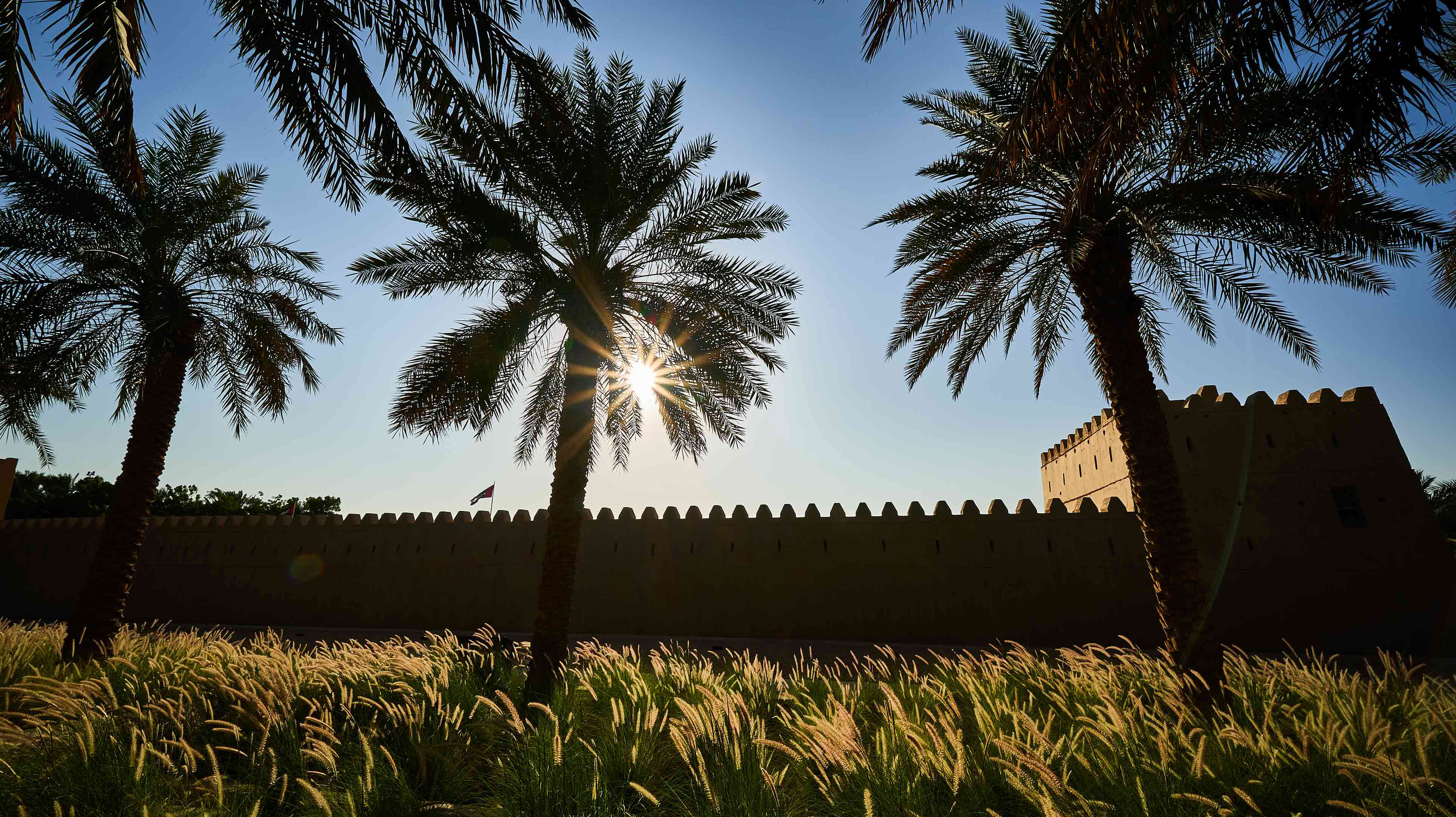 A fort in the middle of a green field in Al Muwaiji Oasis
