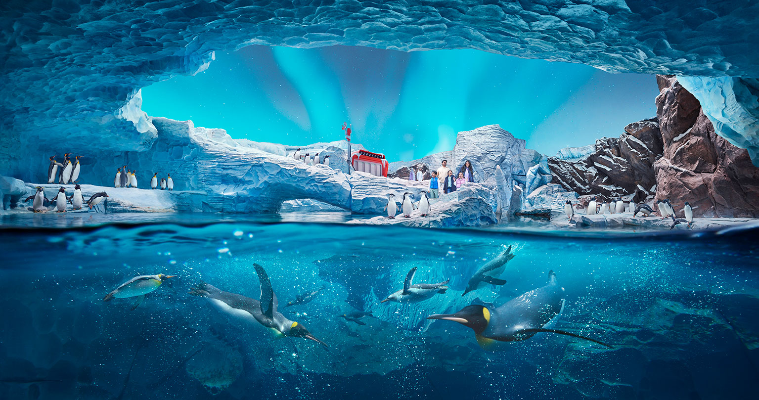 Animales en SeaWorld® Abu Dhabi