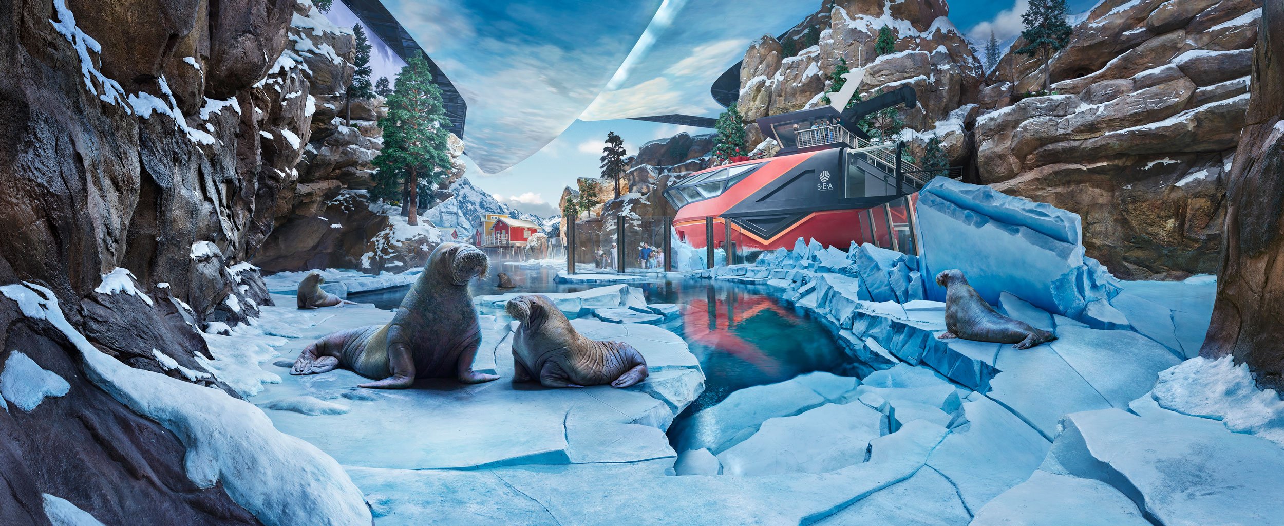 Otarie in un paesaggio artico nel Seaworld Abu Dhabi