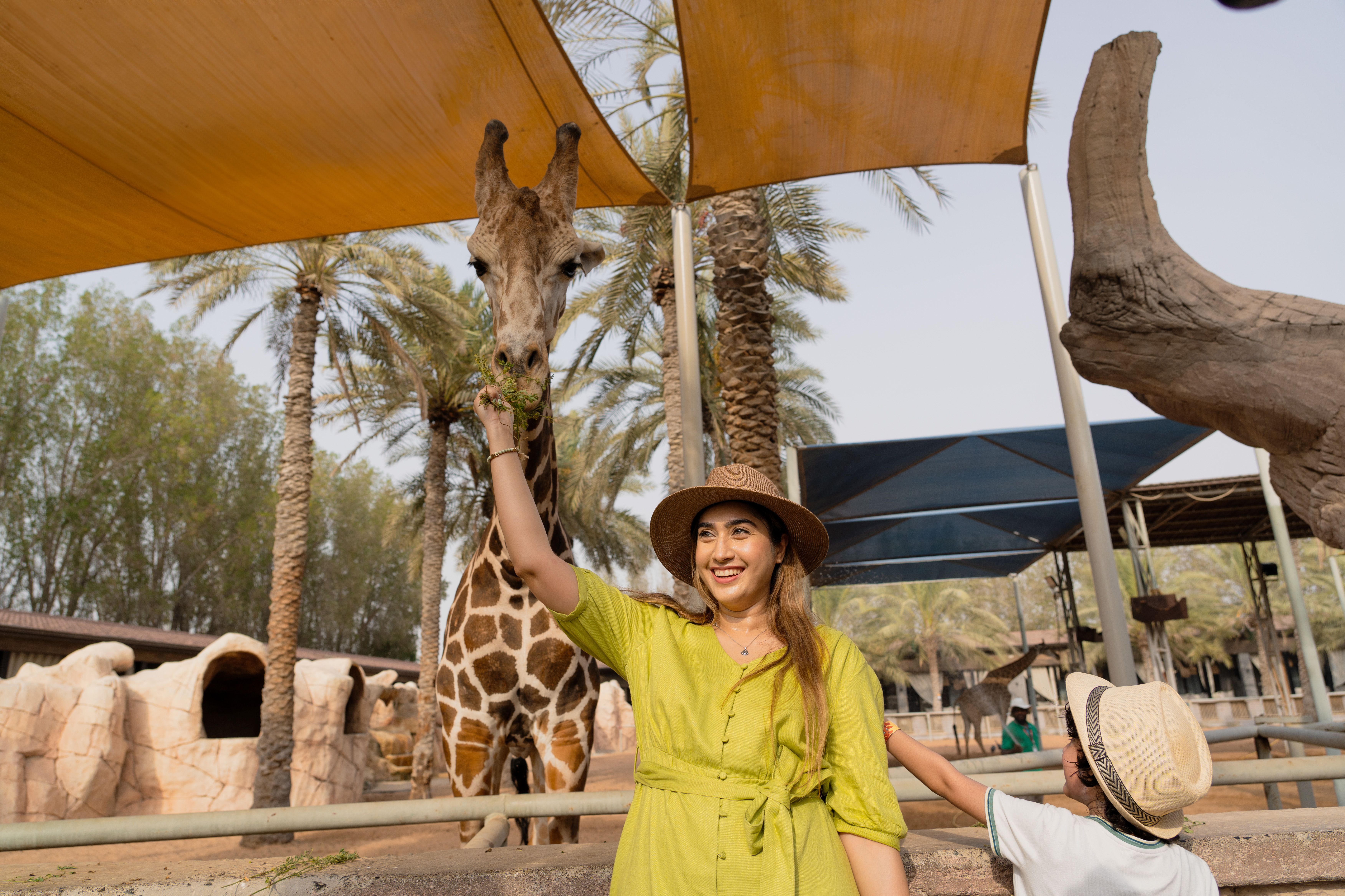  Une visite joyeuse au zoo d'Abu Dhabi, où la connexion avec la nature émerveille petits et grands. 