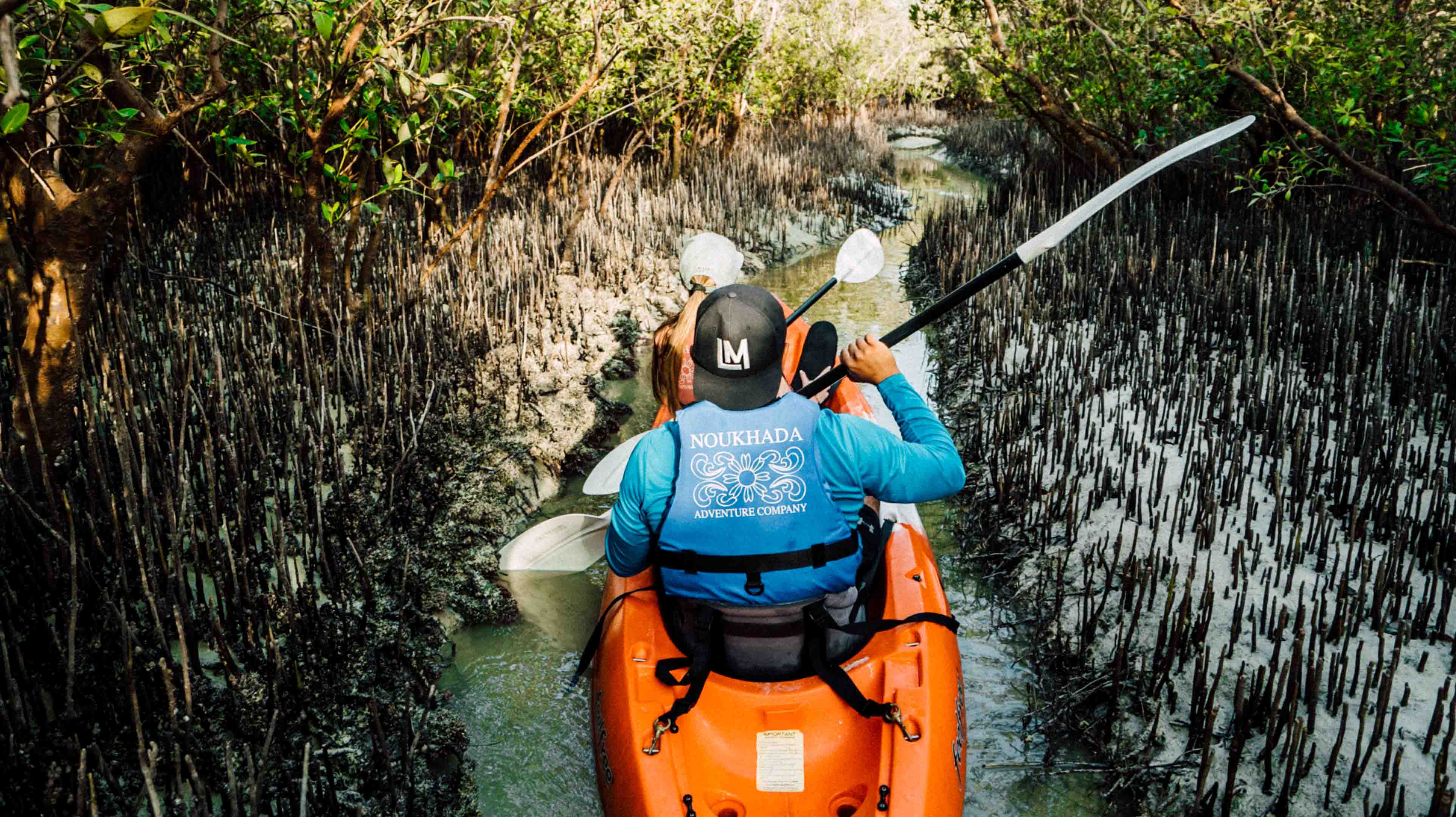 Kayaking in the Mangroves 