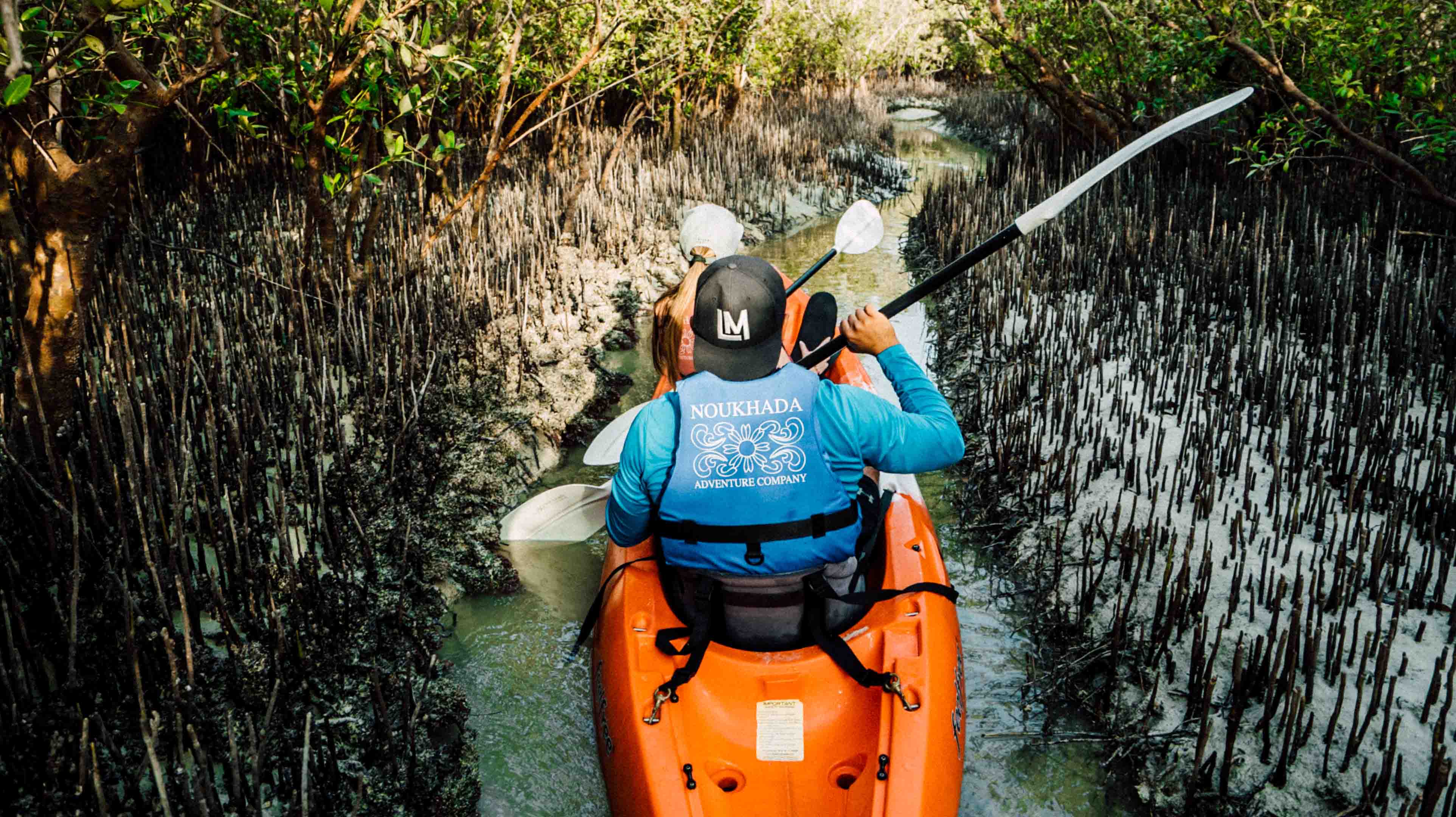 红树林国家公园（Mangrove National Park）