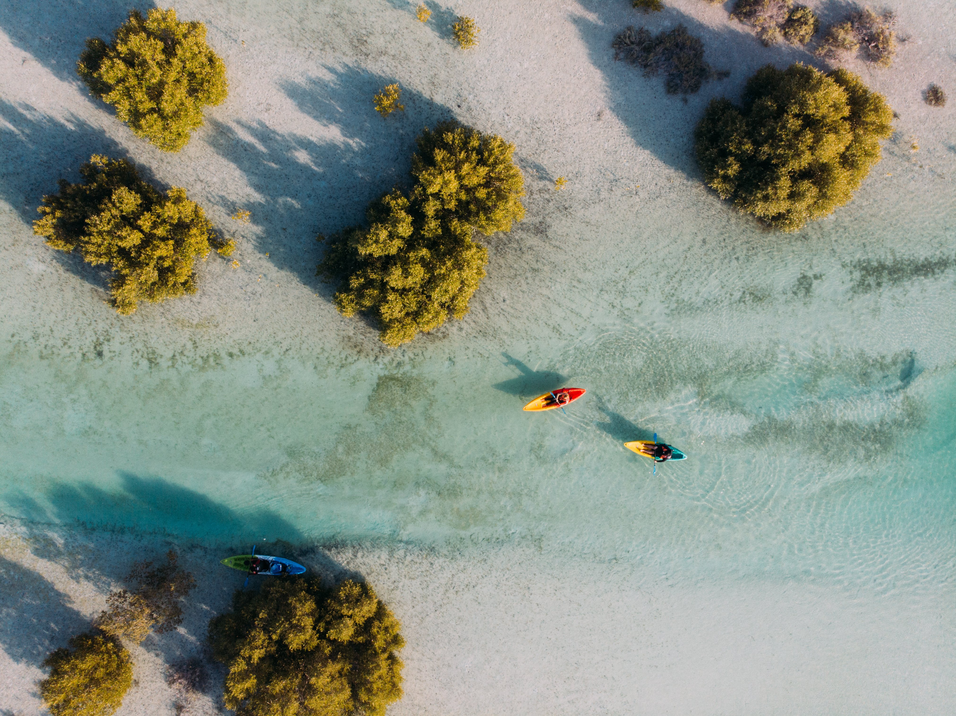 Vista aerea al parco delle Mangrovie ad Abu Dhabi. Ci sono tre persone in kayak.