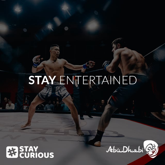 Stay Entertained - #staycurious
